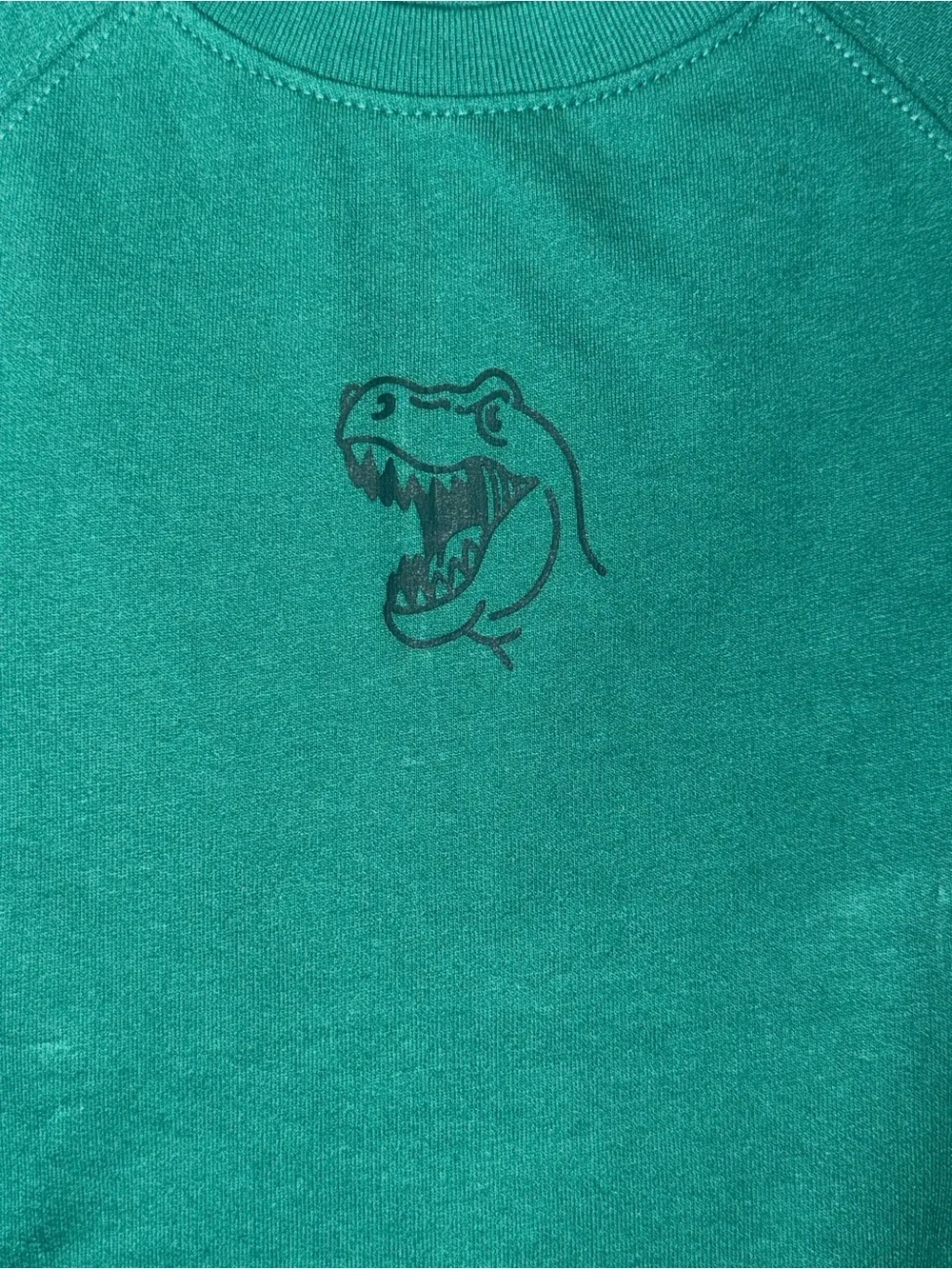 wonder nation Green Dinosaur Tee & Shorts Set